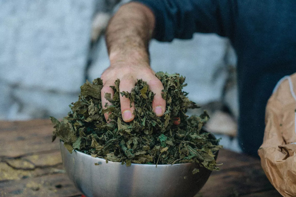 Bière IPA sans alcool ni gluten 33cl - RUN'HARD