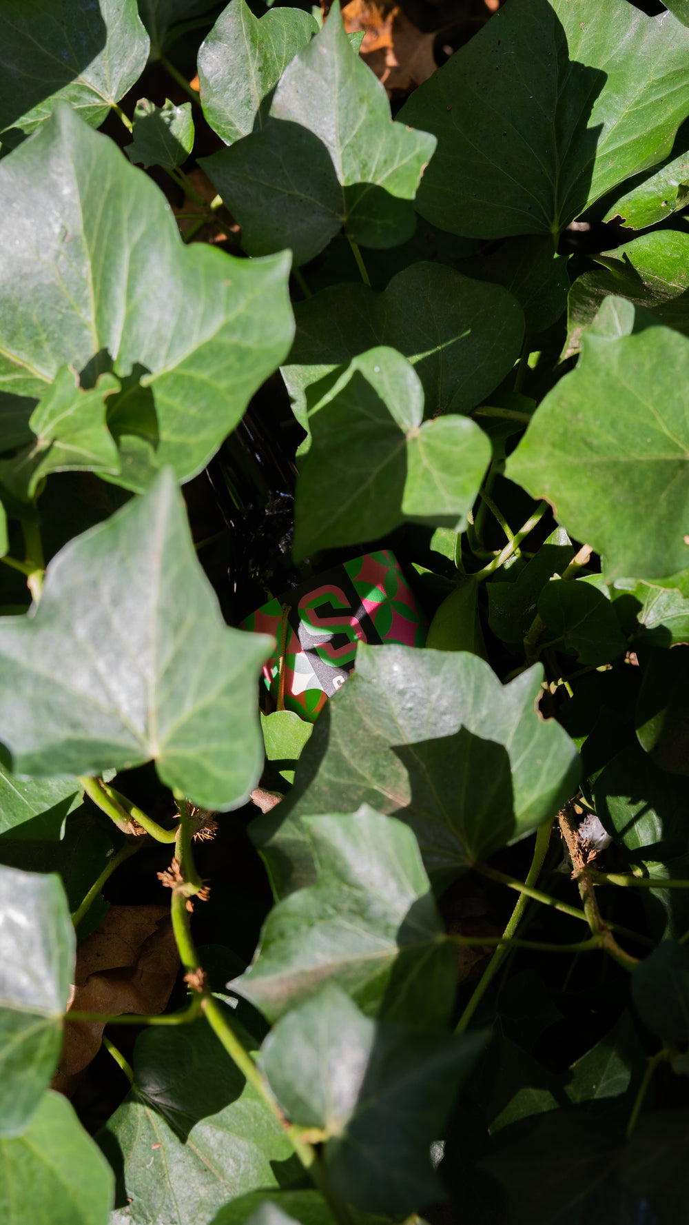 Bière SAM fruits rouges sans alcool 0,5% - bouteille 33 cl